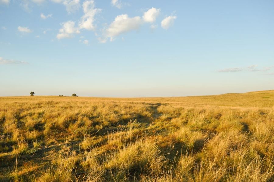 Commercial Property for Sale in Reitz Free State